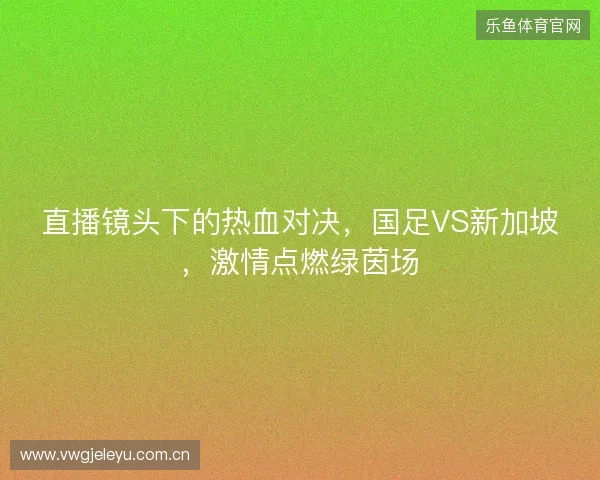 直播镜头下的热血对决，国足VS新加坡，激情点燃绿茵场